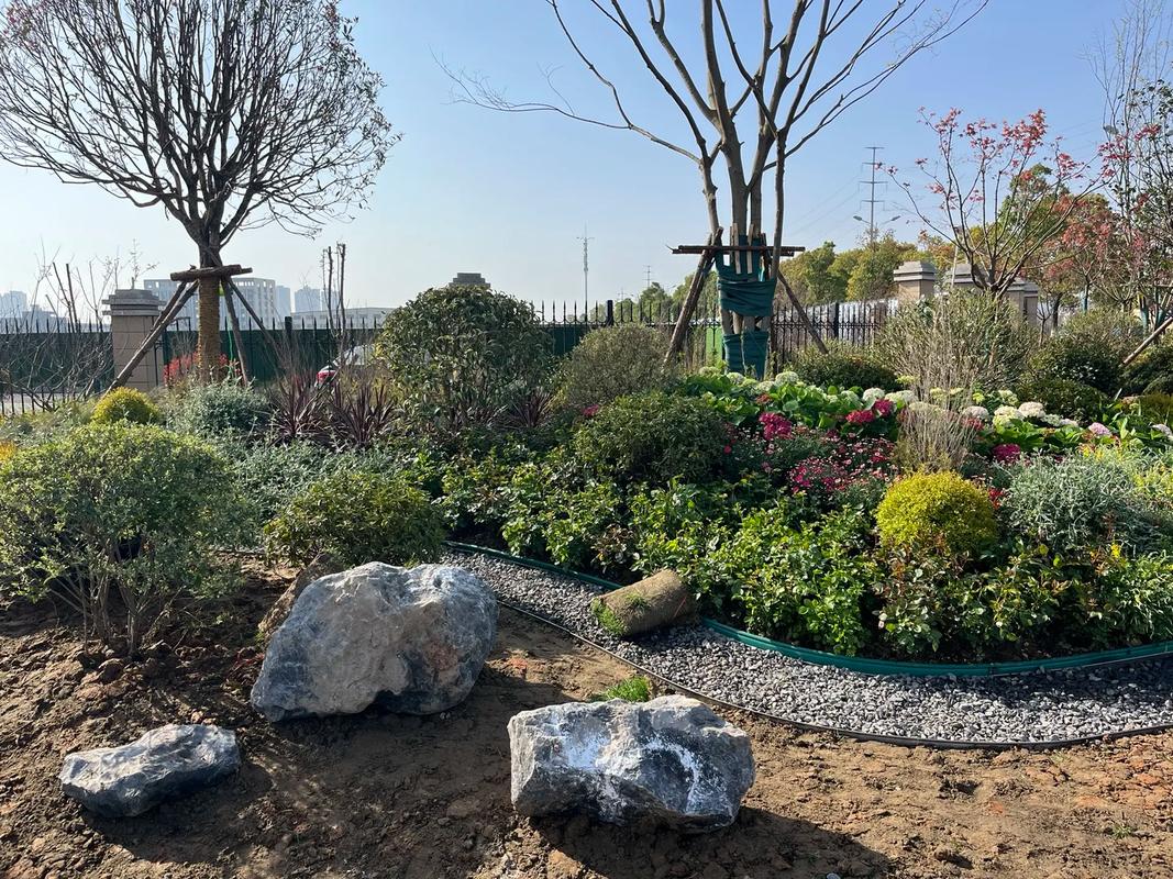 園林綠化工程 #施工現(xiàn)場(chǎng)實(shí)拍