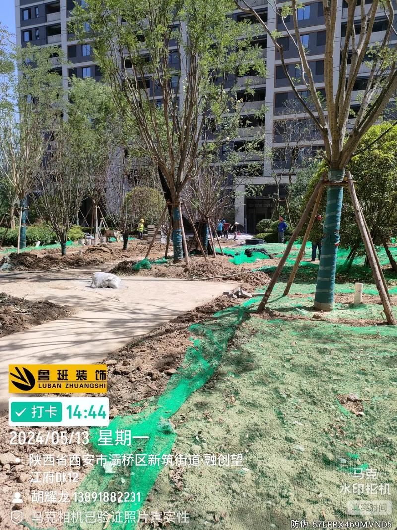 施工現(xiàn)場(chǎng)實(shí)拍 #園林綠化工程 #工程進(jìn)度 #現(xiàn)場(chǎng)實(shí)拍 望江