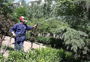 延吉市華天園林綠化 經(jīng)營產(chǎn)品介紹 圖