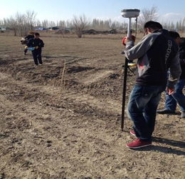 園林綠化施工技術大全