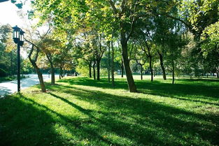 福建省農(nóng)村土地承包經(jīng)營權確權登記頒證工作有關法規(guī)政策問題解答 一