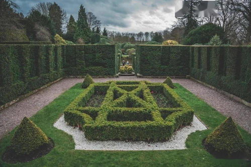 先地下，后地上 園林工程交叉施工的科學(xué)管理策略